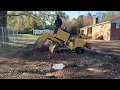 Rayco RG55 Stihl 661 in Action Grinding a Large Oak Blow Over with Full Cleanup