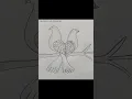 Download Lagu How to draw a love Birds |easy drawing|#bird#drawing #art #shortvideo#shorts#lovebird #ytshorts#art