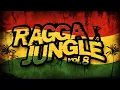 Lagu RAGGA JUNGLE vol. 8 - Drum n Bass Mix