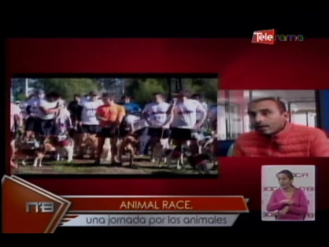 Animal Race una jornada por los animales