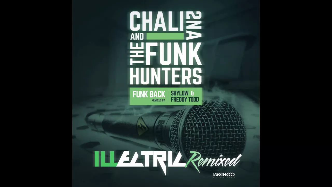 The Funk Hunters & Chali 2na - Funk Back (Freddy Todd Remix) The Funk Hunters & Chali 2na - Funk Back (Freddy Todd Remix)
