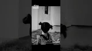 انا مش فاتحها سدح مدح  انا مش فاتحها سدح مدح