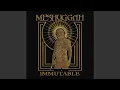 Ligature Marks 2025 Remastered