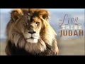 The Feast OF The Harvest Celebration 10/21/21 (Prophet Brian Mosley)