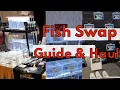GCCA - fish swap Cameos by J4 Flowerhorns Prime Time Aquatics Prism Bettas