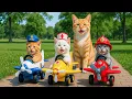 Download Lagu Mama Cat and Kitten Pretend to Be Doctor, Firefighter \u0026 Police! 👩‍⚕️🚒👮 Heartwarming Role Play Time