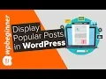 How to Display Popular Posts by Day Week and Month in WordPress
