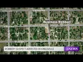 Kingsville Police Department arrest robbery suspect