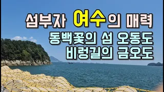 섬부자 여수의 매력…동백꽃의 섬 오동도와 비렁길의 금오도