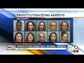 15 arrests made in Lee County prostitution sting