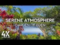Lagu 10 HRS Gentle Tropical Birds Chirping for Rest \u0026 Relax - 4K Serene Atmosphere of the Garden of Eden