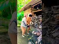 Download Lagu chinese funny video tiktok🤣china comedy tik tok video#ngakak #funny #lucu #comedy #komedi #sketbor