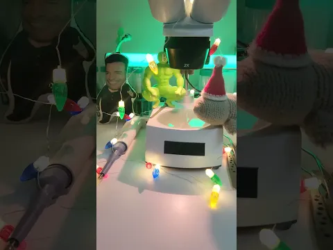 Navidad en Agosto | Biología Desde Cero