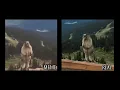 Bear screaming meme and original
