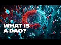 What Is a DAO Decentralized Autonomous Organizations explained