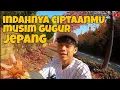 Lagu INDAHNYA MUSIM GUGUR DI JEPANG. MOMIJI TAHUN KE 3