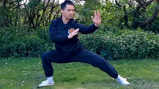 Relaxing Chen Style Tai Chi Bow Stance Tutorial