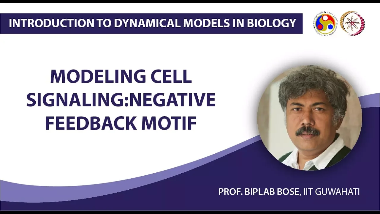 Modeling Cell Signaling:Negative Feedback Motif