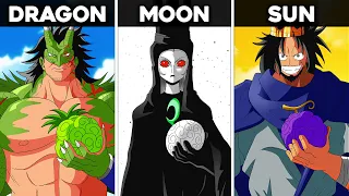 All 158 Devil Fruits In One Piece Ranked