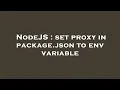 NodeJS set proxy in package json to env variable