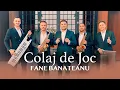 Download Lagu Fane Banateanu si Formatia - Colaj de Joc [2023]