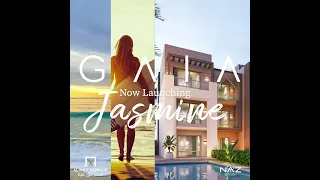 جاسمين جايا الاهلي صبور 