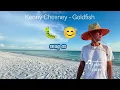 Kenny Chesney - Goldfish (Lyrics) | Silver Sands Marina  #KennyChesney #Goldfish#SilverSandsMarina