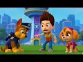 Download Lagu Why Was Chase Kicked Out Of The Team? What Will Happen?| Paw Patrol Ultimate Rescue | Rainbow 3