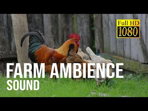 Download MP3 1 hour of farm animal noises | Farm ambience sound for sleeping