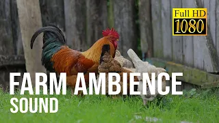 1 Hour Of Farm Animal Noises Farm Ambience Sound For Sleeping 