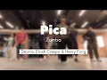 Lagu Pica | Zumba Fitness | Choreo By Akash 