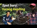 Spot baru sarangnya kepiting bakau.#sumatrautara#carikepiting#nelayan#seafood#mancingmania#hewanlaut