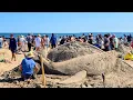 NYC LIVE Coney Island Sand Sculpting Competition