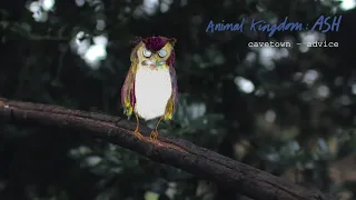 Advice by Cavetown ft Sam Goater Animal Kingdom