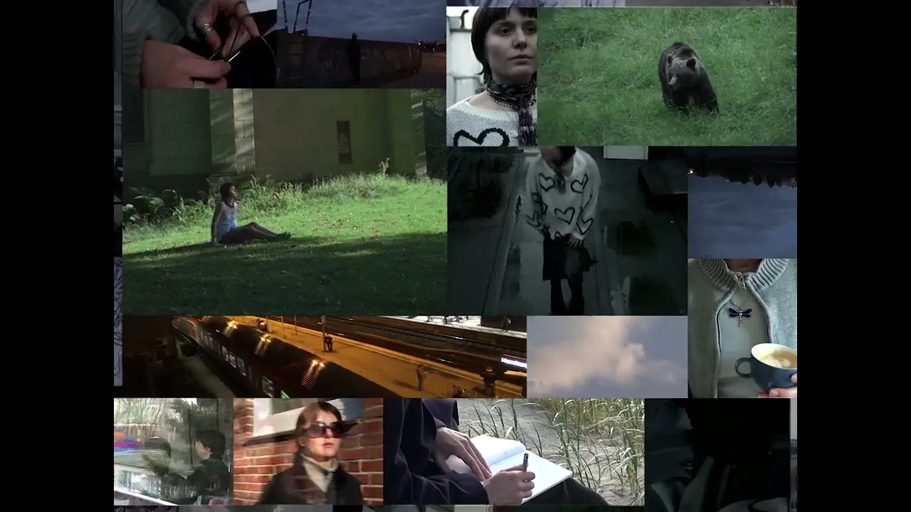 Video Vorschau
