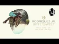 Rodriguez Jr. feat. Cari Golden -  Music Don't Lie - mobilee084