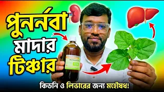 পুনর্নবা মাদার টিঞ্চারের অবিশ্বাস্য উপকারিতা! কিডনি ও লিভারের মহৌষধ | Boerhaavia Diffusa Q