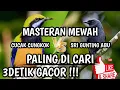 Lagu MASTERAN TERBARU CUCAK CUNGKOK VS SRI GUNTING ABU FULL TEMBAKAN PEDAS PALING BANYAK DI CARI