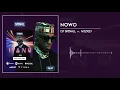 DJ Spinall - Nowo Ft. Wizkid (Audio)