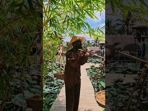 Thi ơi đừng gọi tên Anh nữa.