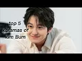 Top 5 Kdramas of Kim Bum