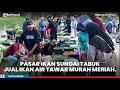 Download Lagu Penjual Ikan Air Tawar Murah Pasar Sungai Tabuk, Ramai Pembeli