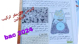 مقر تركيب البروتين الجزء01 اول درس في العلوم الطبيعية للسنة الثالثة ثانوي باك 2024 