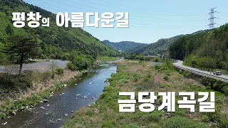 아름다운 평창 금당계곡길 썸네일