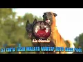 Download Lagu DJ CINTA TASIK MALAYA VIRAL TIKTOK 2024 KENCANG GASSPOOL