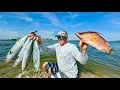 2 Days Fishing Spearfishing Exploring Springs and Eating what we Caught and Shot