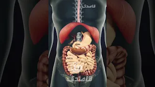 چقدر طول میکشد تا غذا در بدن ما جذب شود 