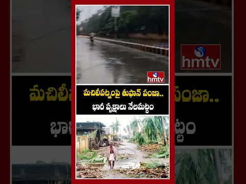 మచిలీపట్నంపై తుఫాన్ పంజా..భారీ వృక్షాలు నేలమట్టం | hmtv