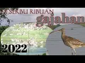 Download Lagu BERBURU GAJAHAN silo laut Sumatra Utara @donyhunter1775 #berburu#berburu gajahan di tambak udang