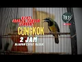 Download Lagu CUNGKOK MEWAH MATERI KUNTI, GEREJA, JENGGOT \u0026 KONIN 🔴 DURASI 2 JAM❗️COCOK UNTUK MASTERAN MALAM HARI